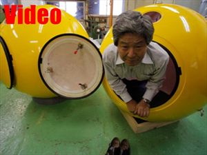 Κάψουλα σωτηρίας