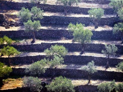 Αναβαθμίδες