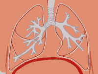 Το διάφραγμα...