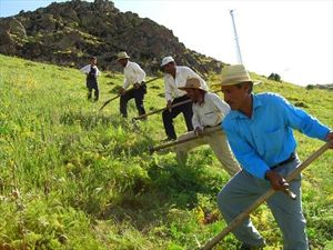 Φωτογραφία