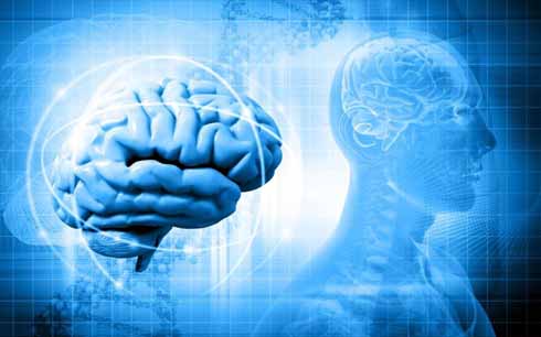 Εγκέφαλος κλπ