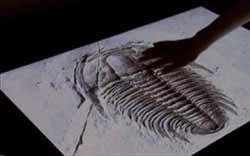 Ψηλαφώντας αντικείμενα σε touchscreens...