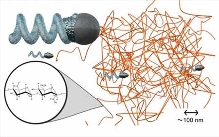 Η μικρότερη προπέλα...